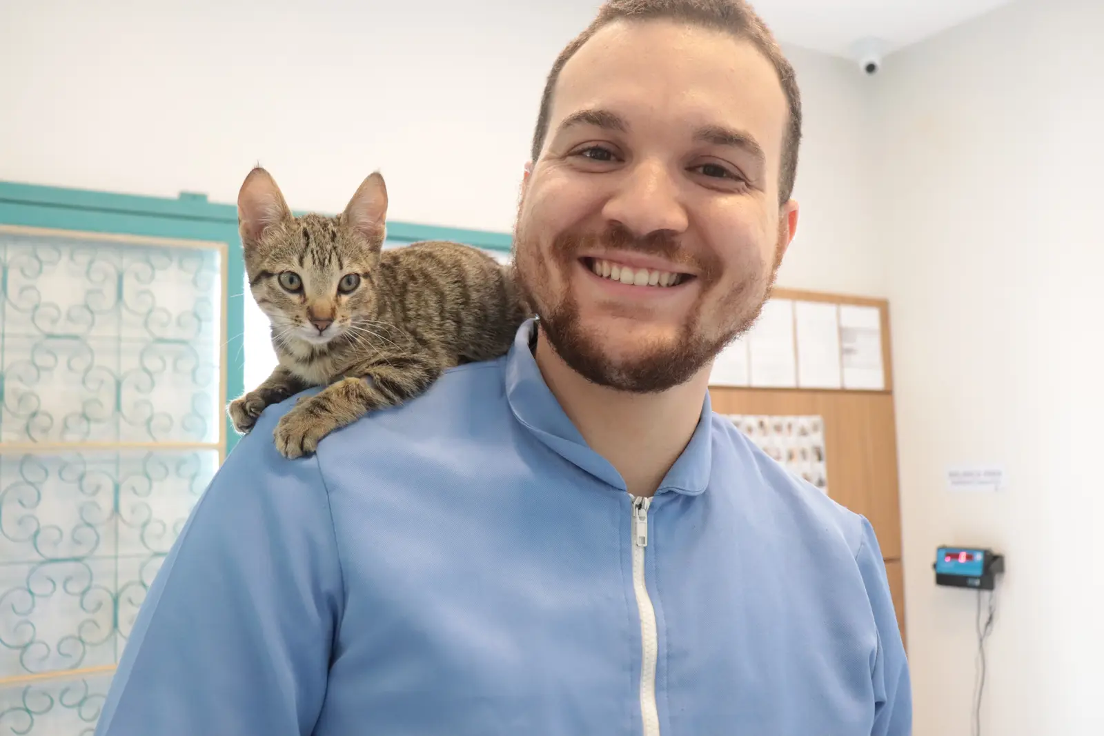 Gato apoiado no ombro do veterinário Victor Costa
