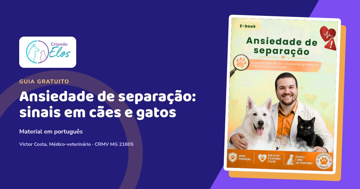 Composição editorial do e-book Ansiedade de separação do Criando Elos