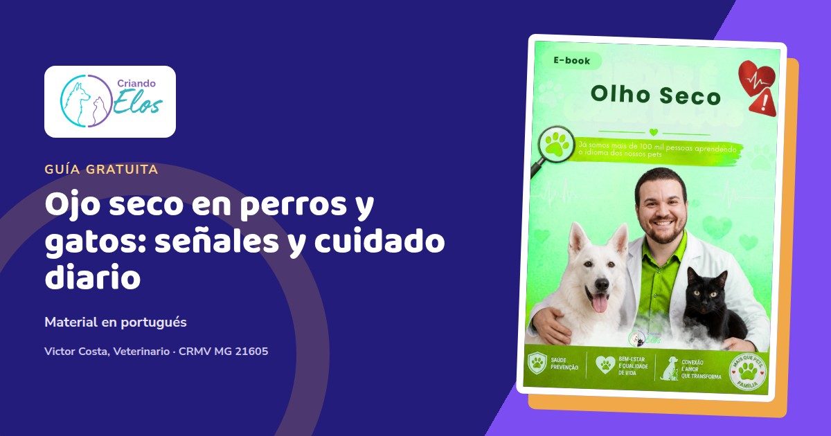 Composición editorial sobre ojo seco y cuidado ocular en perros y gatos