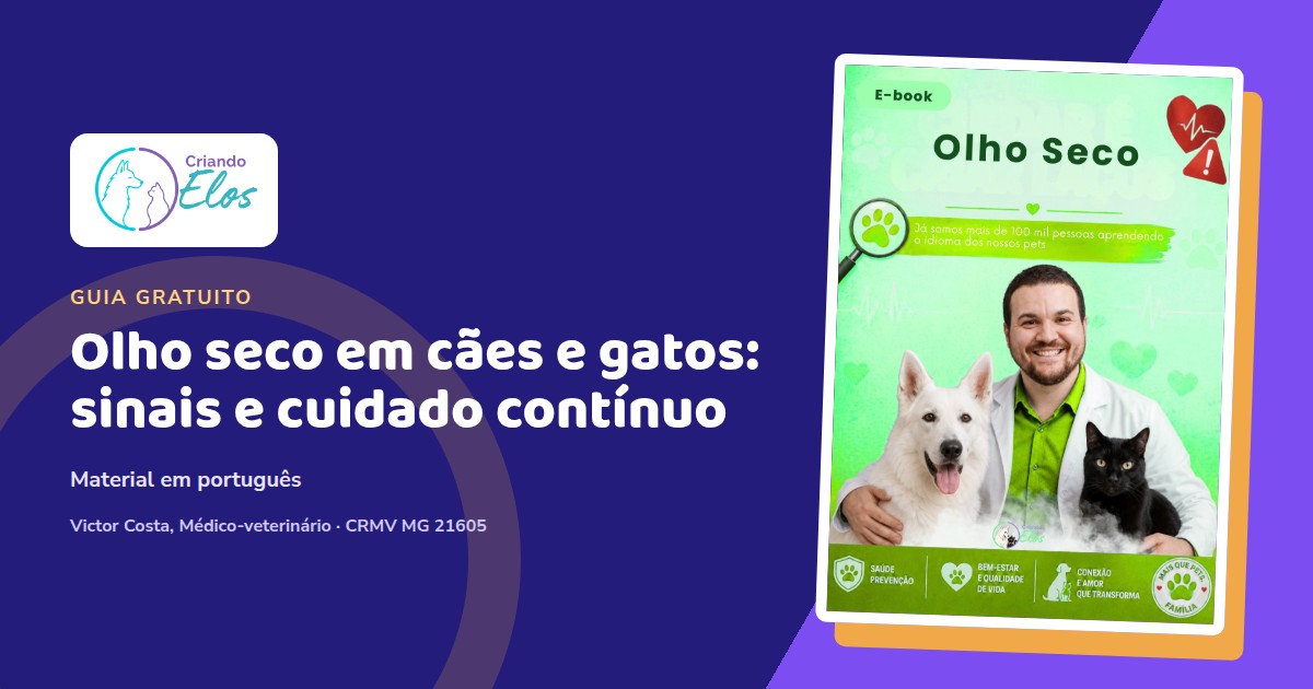 Composição editorial sobre olho seco e cuidado ocular em cães e gatos