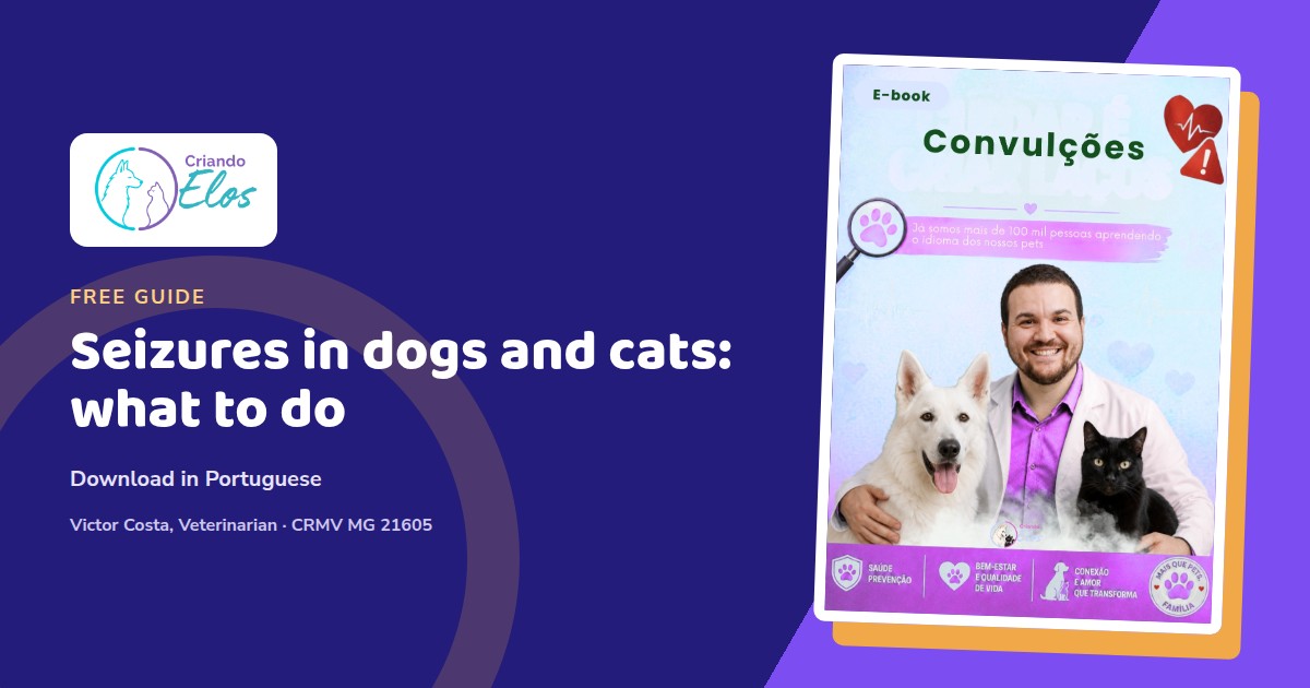 Editorial composition about first aid for seizures in dogs and cats