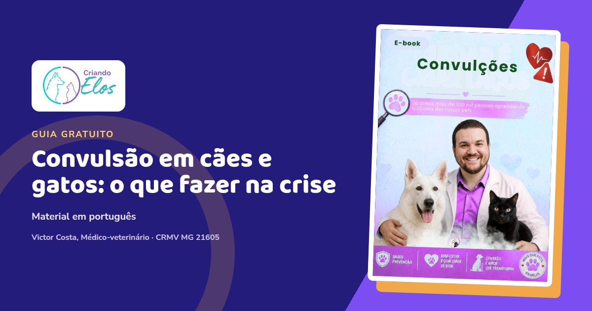 Composição editorial sobre primeiros cuidados diante de convulsões em cães e gatos