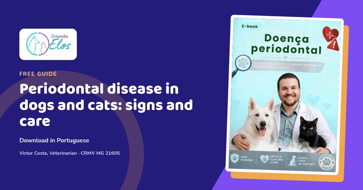 Editorial composition about the signs and prevention of periodontal disease in dogs and cats