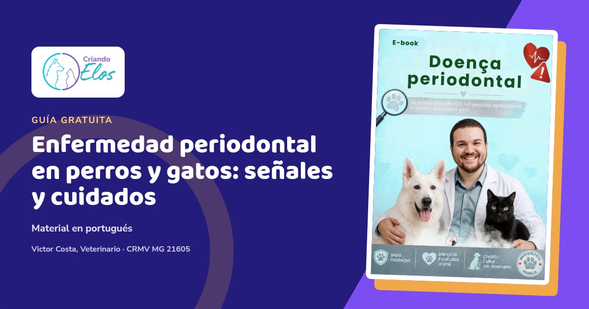 Composición editorial sobre las señales y la prevención de la enfermedad periodontal en perros y gatos