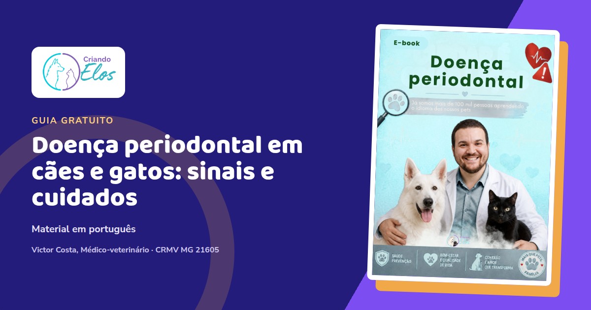 Composição editorial sobre sinais e prevenção da doença periodontal em cães e gatos