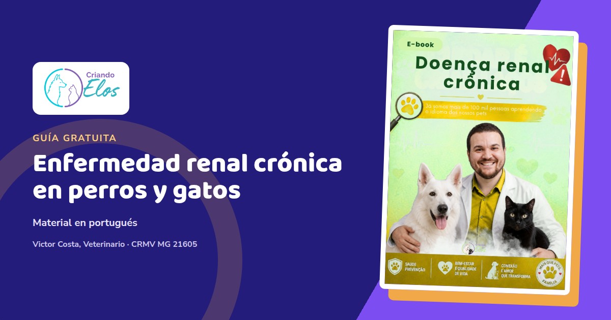 Composición del e-book sobre enfermedad renal crónica con referencias al seguimiento de perros y gatos