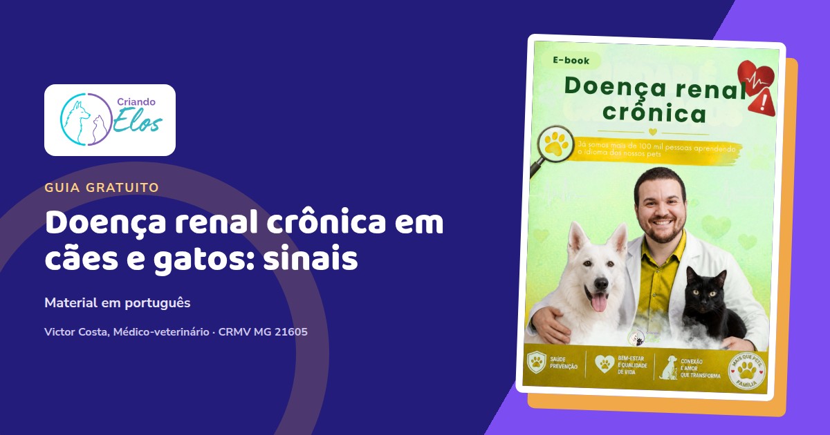 Composição do e-book sobre doença renal crônica com referências ao acompanhamento de cães e gatos