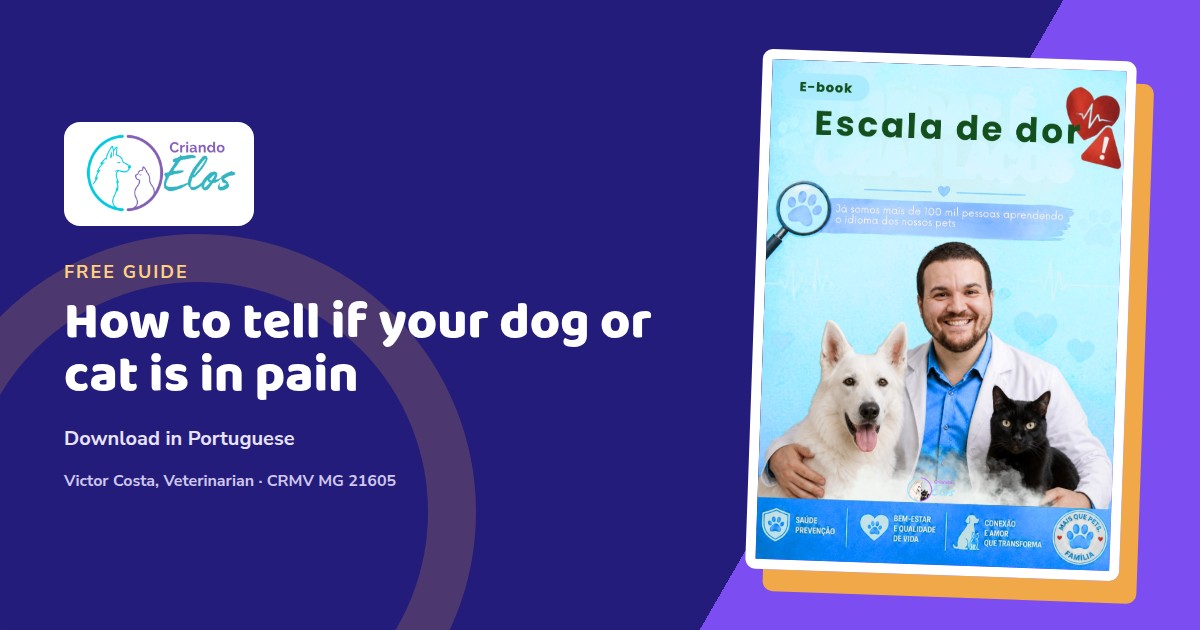 Editorial composition featuring the Portuguese cover of the Pain scale ebook, about observing dogs and cats.