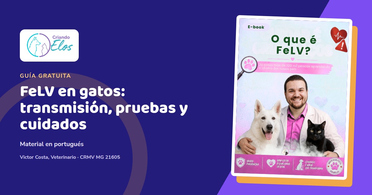 Composición editorial de Criando Elos con la portada del e-book sobre FeLV en gatos