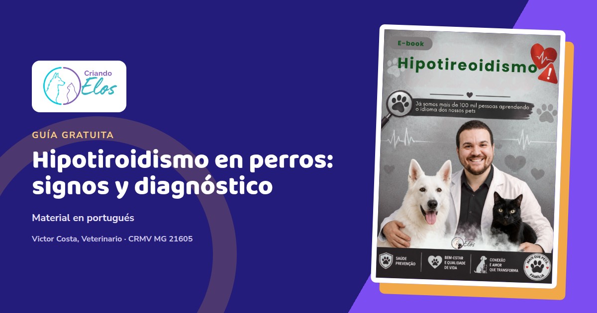 Composición editorial del e-book Criando Elos sobre signos y diagnóstico del hipotiroidismo en perros