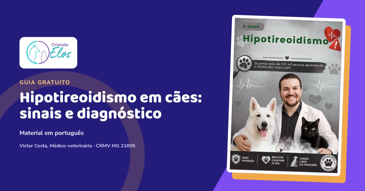 Composição editorial do e-book Criando Elos sobre sinais e diagnóstico do hipotireoidismo em cães