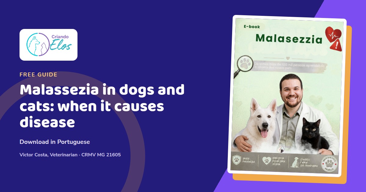 Editorial composition about Malassezia, itching, and skin and ear changes in dogs and cats