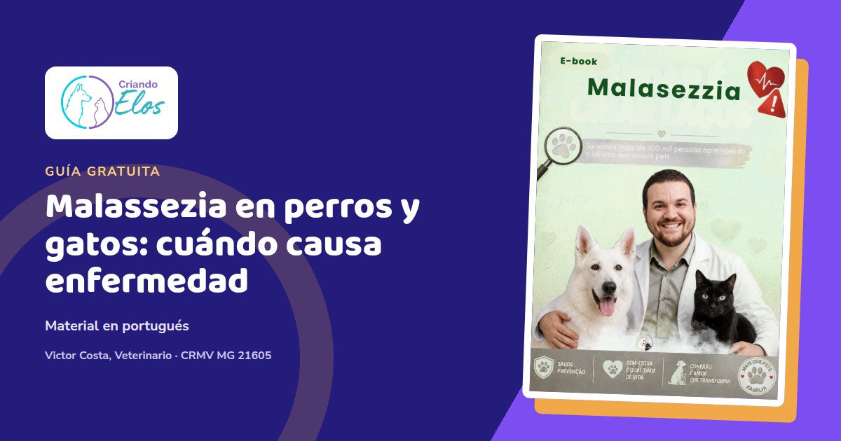 Composición editorial sobre Malassezia, picor y cambios en la piel y los oídos de perros y gatos
