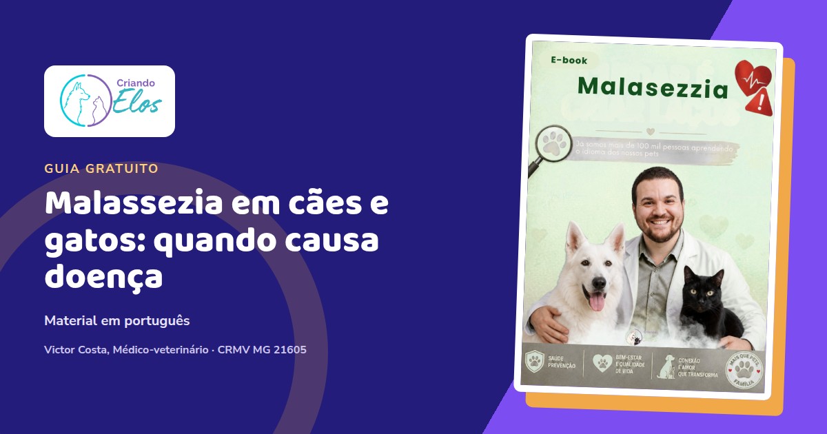 Composição do e-book sobre Malassezia, coceira e alterações de pele e orelhas em cães e gatos