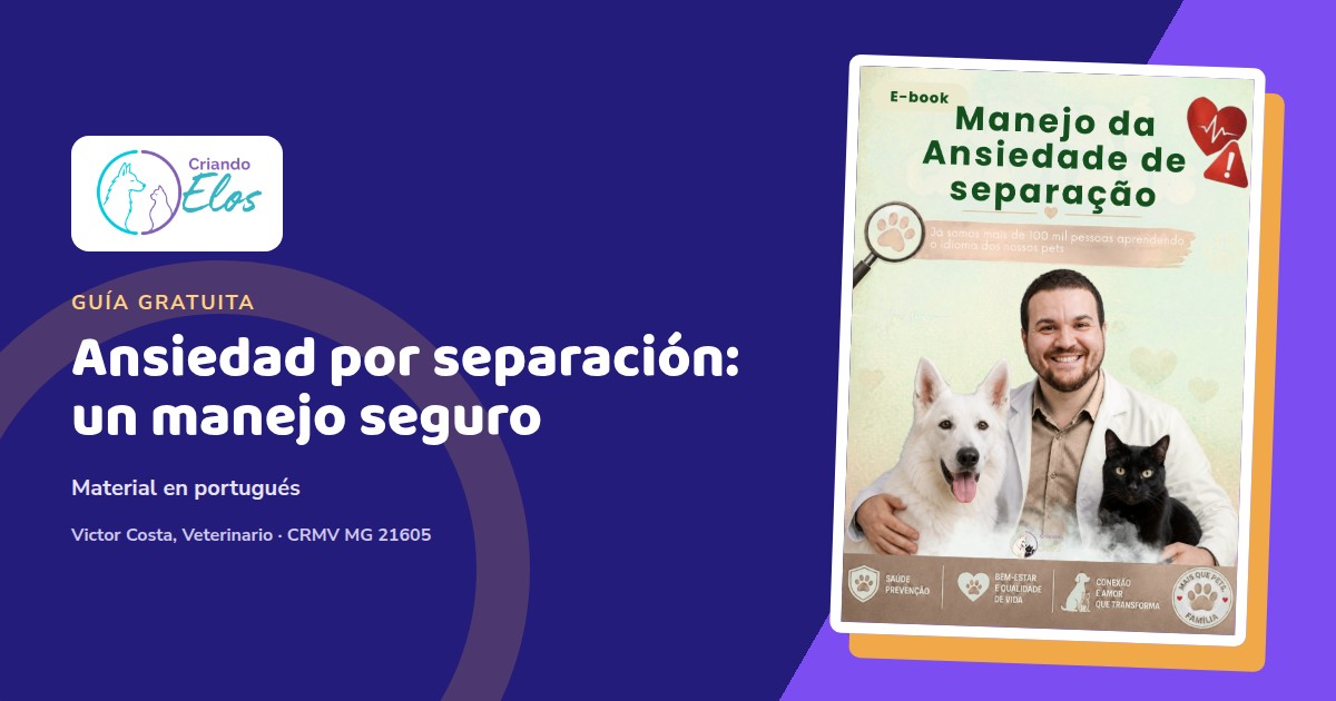Un perro y un gato descansan en casa durante un plan gradual de manejo de la ansiedad por separación