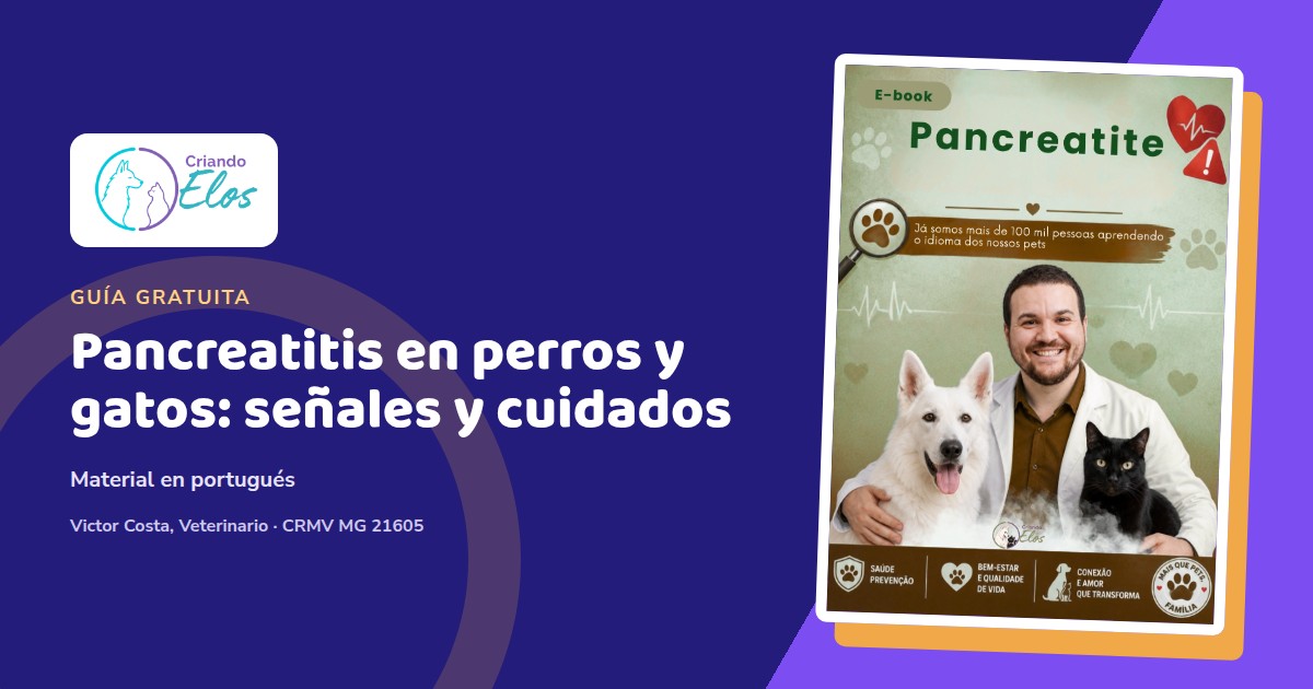 Composición editorial del e-book Pancreatitis, sobre la inflamación del páncreas en perros y gatos