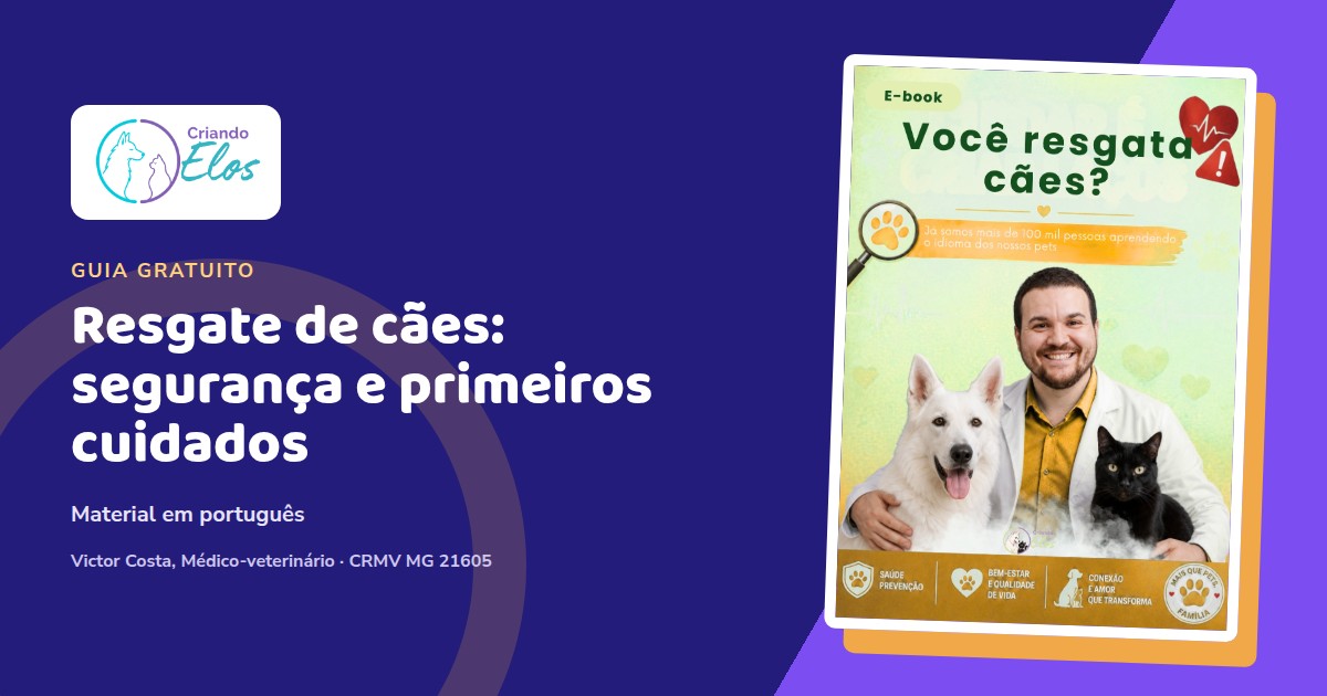 Composição editorial sobre abordagem segura, triagem e primeiros cuidados no resgate de cães