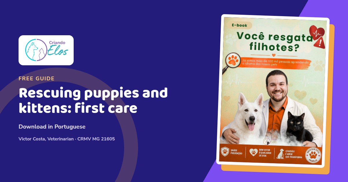 Ebook composition about safe warming and feeding for rescued puppies and kittens