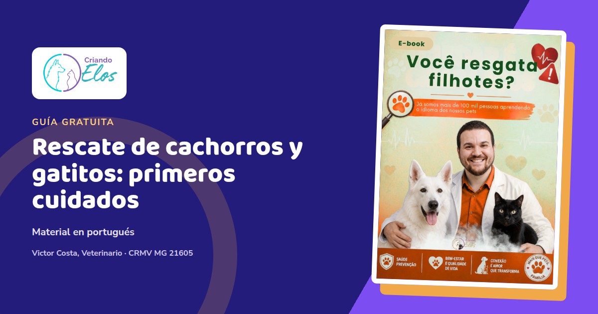 Composición del ebook sobre calentamiento y alimentación segura de cachorros y gatitos rescatados