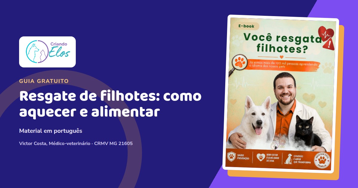 Composição do e-book sobre aquecimento e alimentação segura de filhotes resgatados de cães e gatos