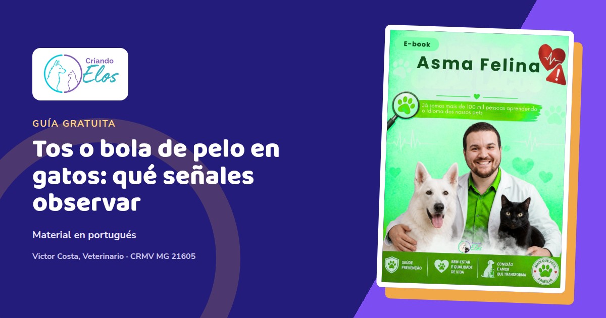 Composición editorial con la portada en portugués del e-book Asma Felina sobre tos y dificultad respiratoria en gatos