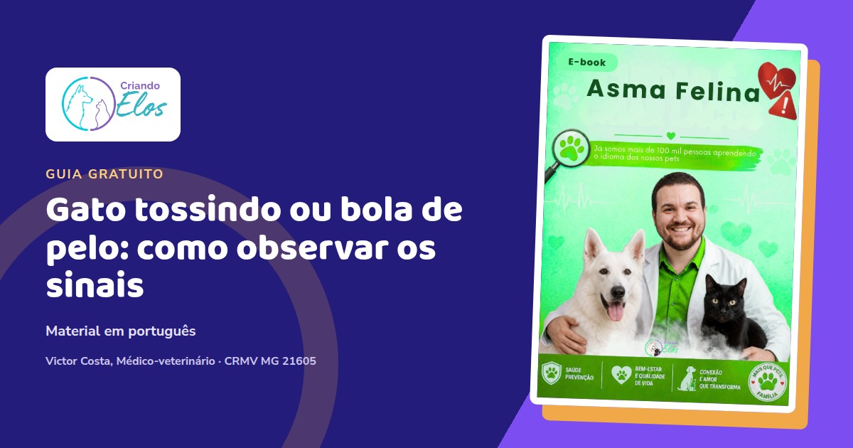 Composição editorial do e-book Asma Felina sobre tosse e dificuldade respiratória em gatos, com capa em português