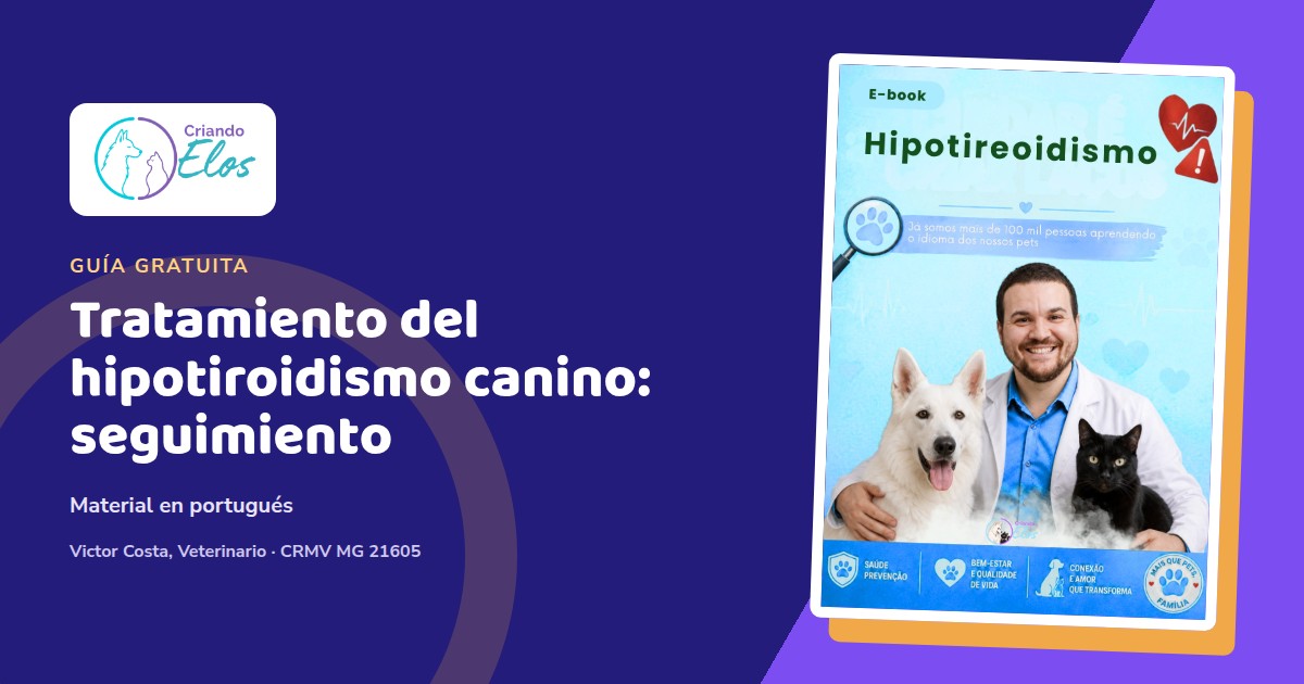 Composición editorial con la portada en portugués del e-book Hipotiroidismo de Criando Elos, sobre tratamiento y seguimiento de perros.