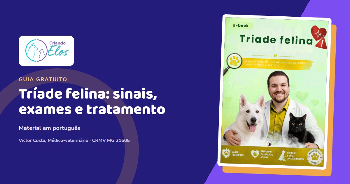 Composição do e-book Tríade Felina com um gato e referências ao intestino, pâncreas e fígado