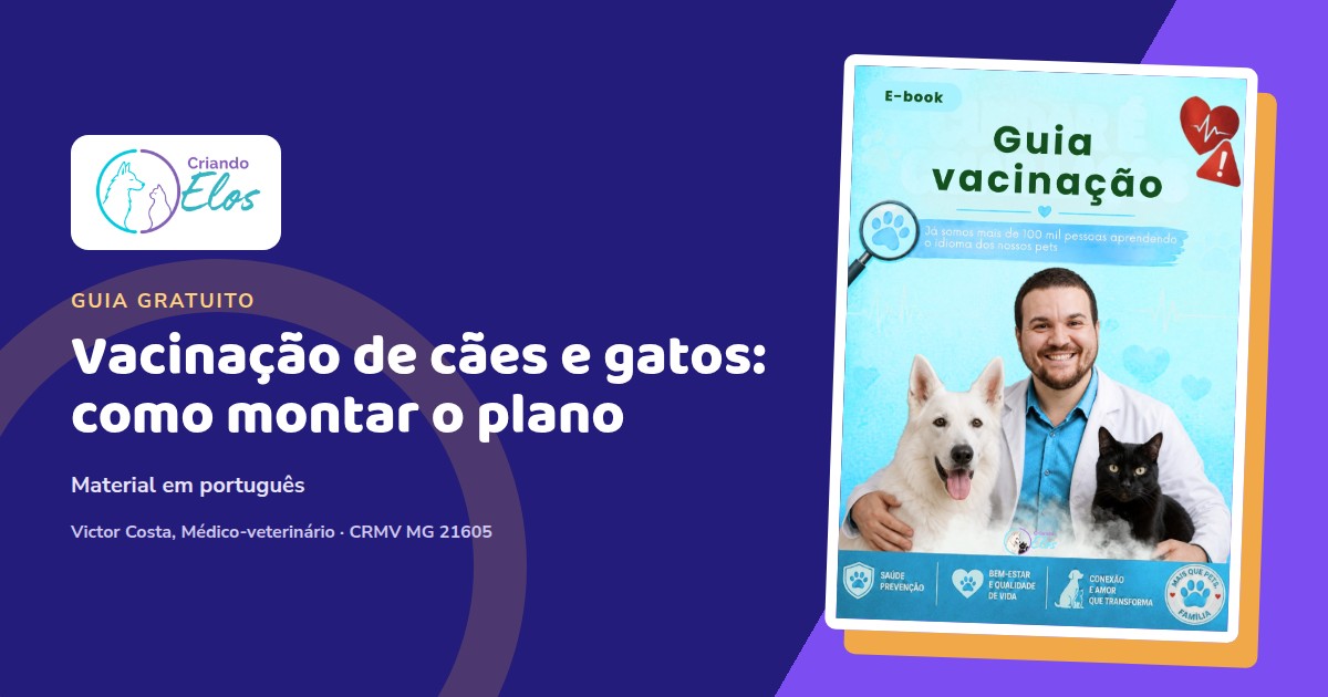 Composição do e-book sobre vacinação individualizada de cães e gatos e registro na carteira vacinal